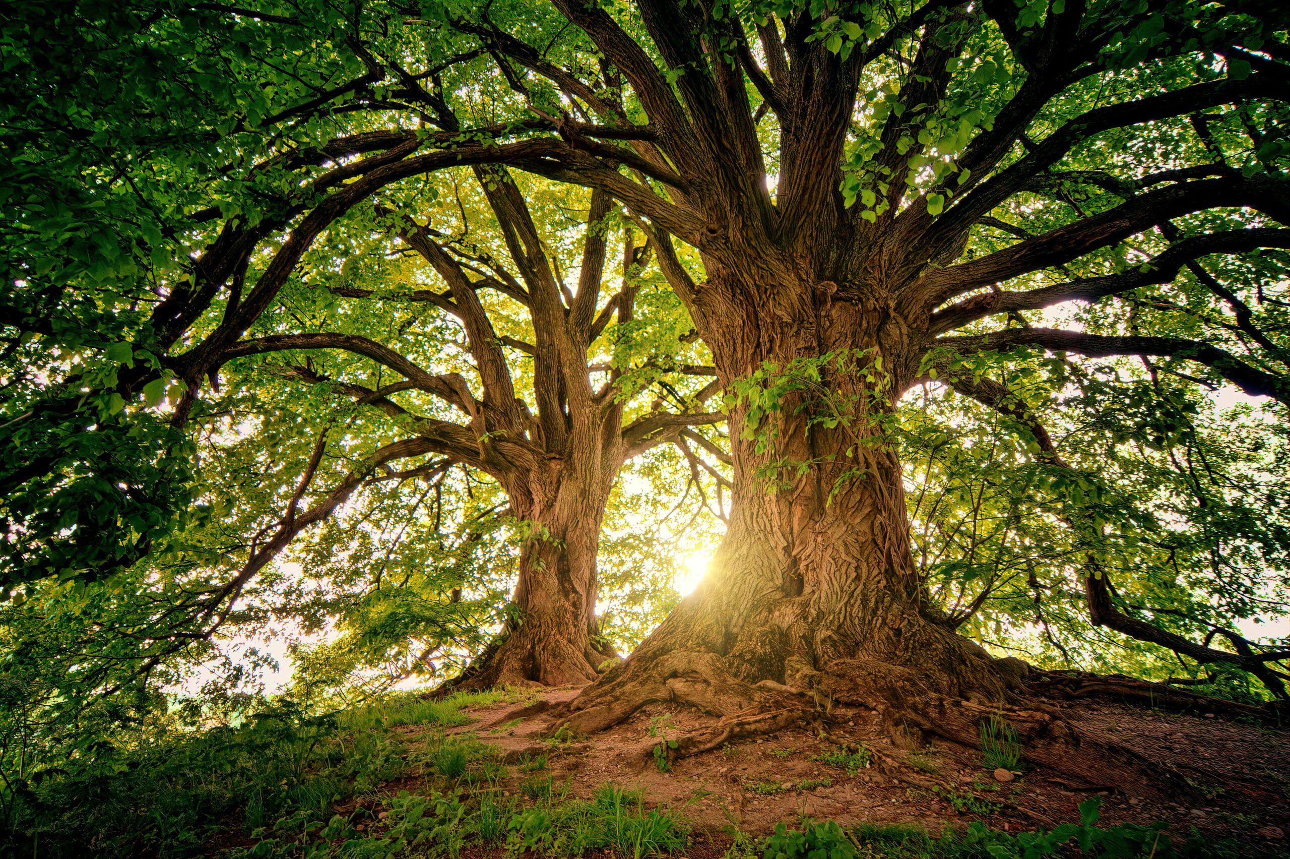 Find Your Sacred Way 3 Powerful Techniques