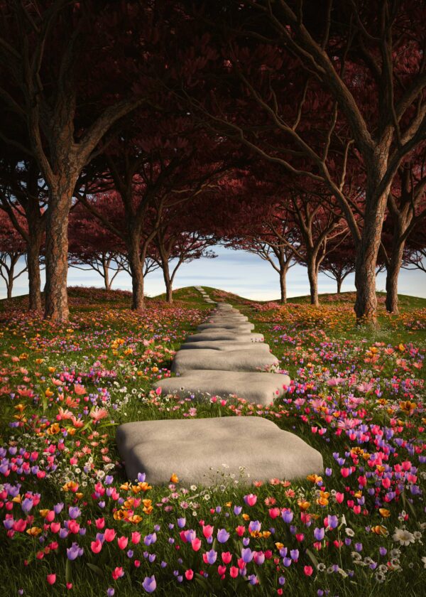 Find your Sacred Way